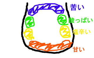 舌の苦味を感じる部分
